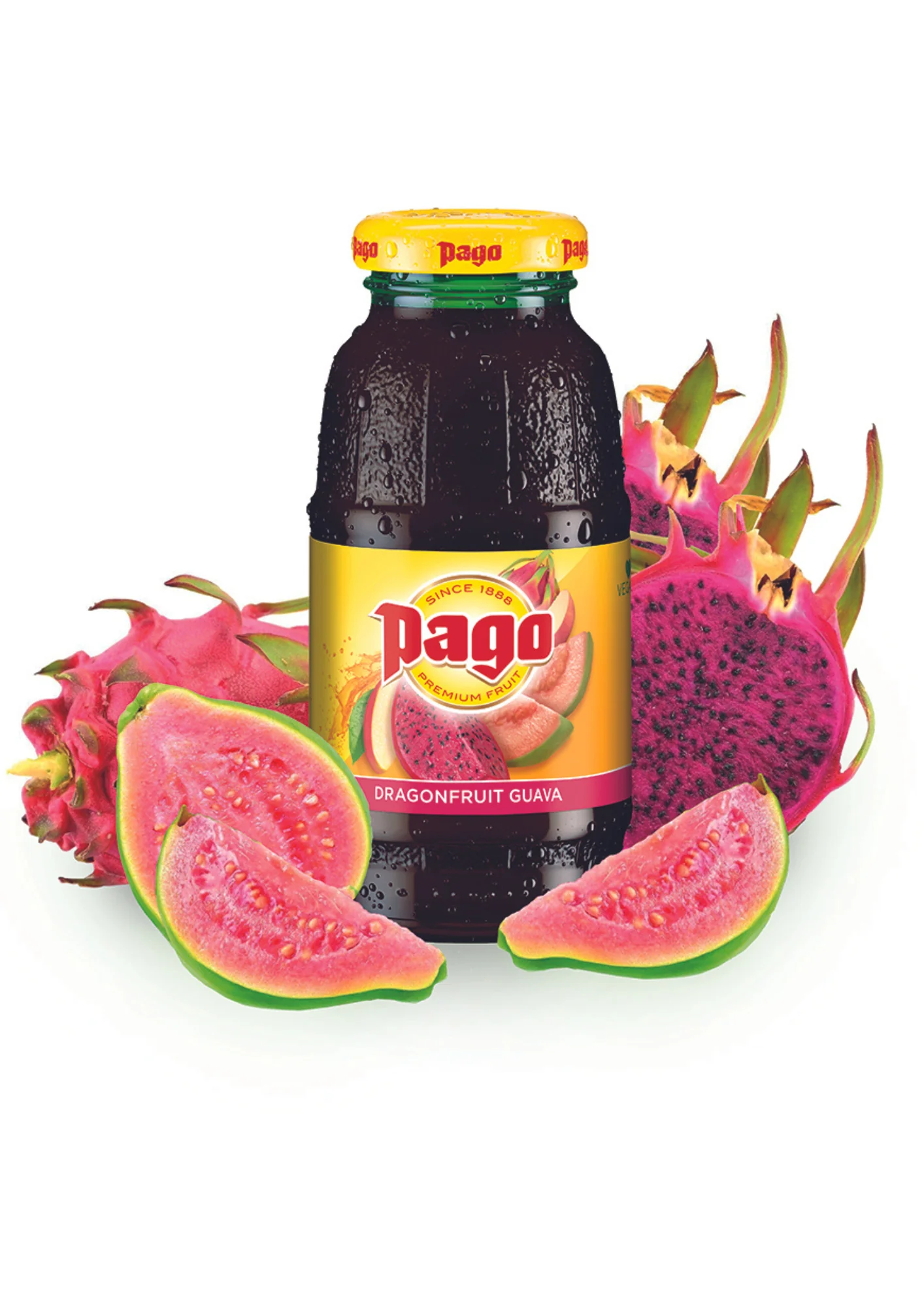 PAGO - FRUIT DU DRAGON